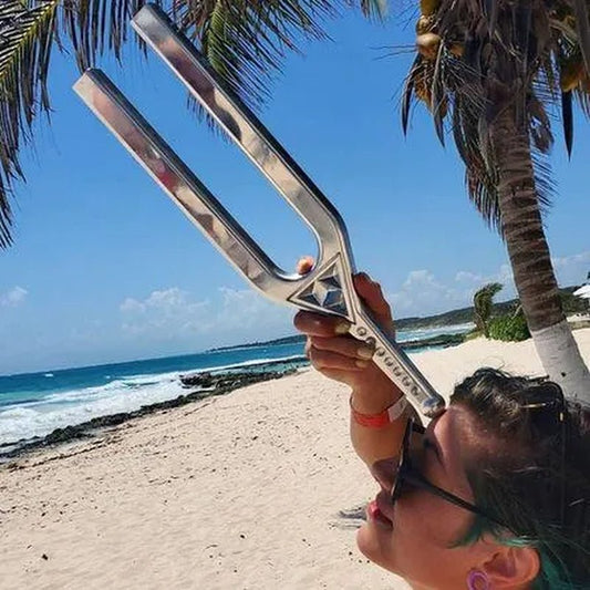 EXCALIBUR RESONANCE TUNING FORK - Health Inuit