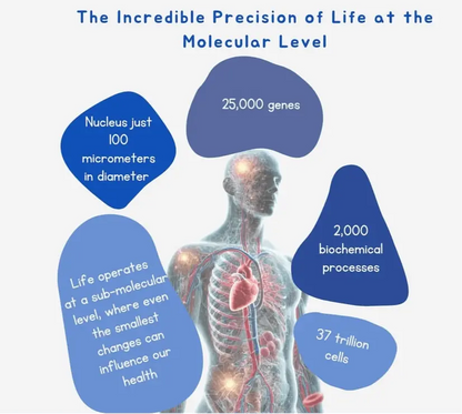 Litewater™ 5 Ppm Deuterium Depleted Water (Case of 12) - Health Inuit