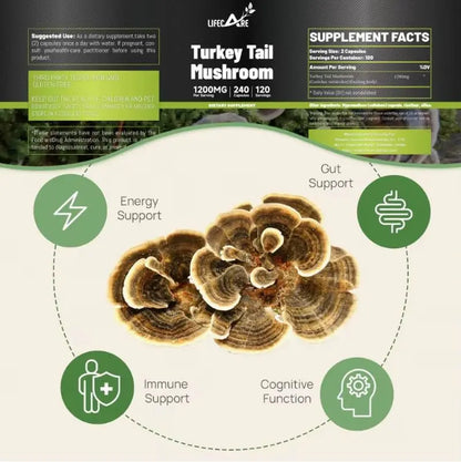 ImmunityHack Turkey Tail - Health Inuit